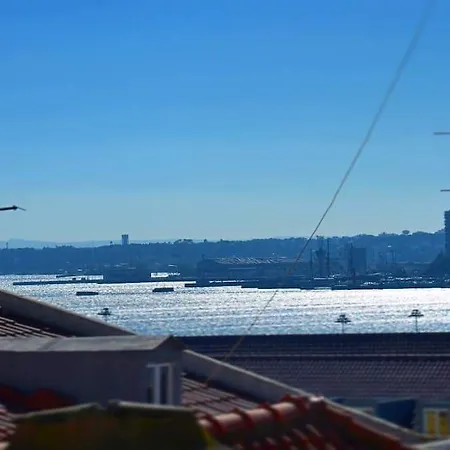 Shinning Lisboa
